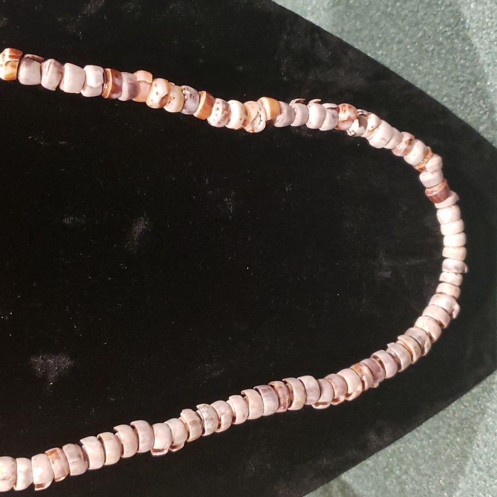 Shell necklace